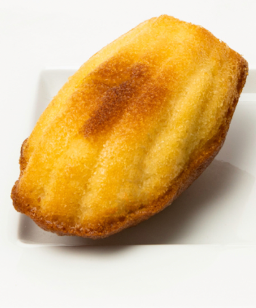 Madeleine Honey