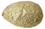 Royal almonds